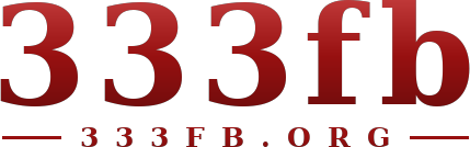 333fb logo